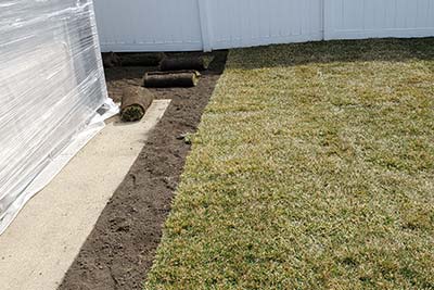 Installation of Sod, Annuals, and Shrubs